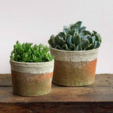 Photo of Campania Farmer's Pot Cylinder - Cotswold White - Set of 8 - Exclusively Campania